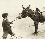 Three Assumptions a Lawyer Must Never Make