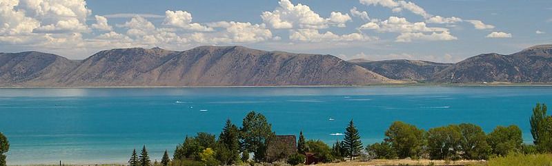 Peacebuilding Academy